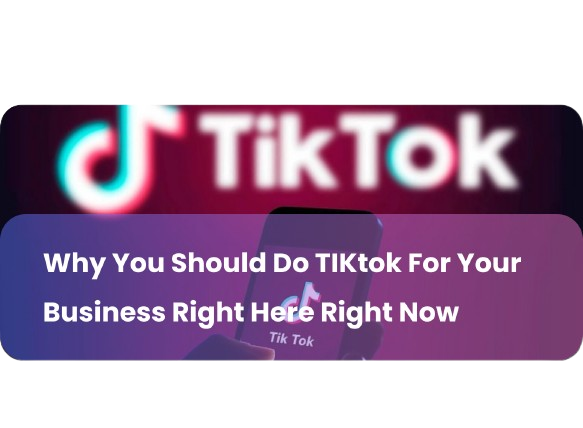 View_1.1-removebg-preview